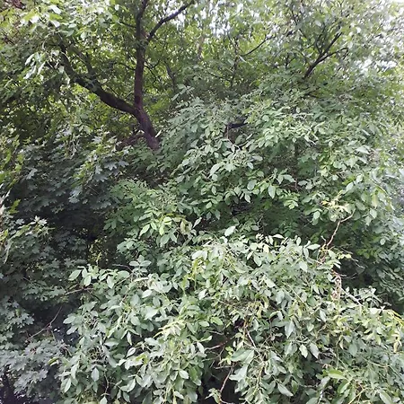 Haus Am Hang * Schwäbisch Hall