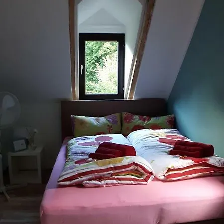 Haus Am Hang Homestay *