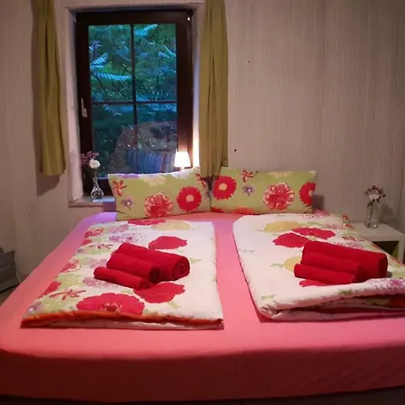 Haus Am Hang Homestay
