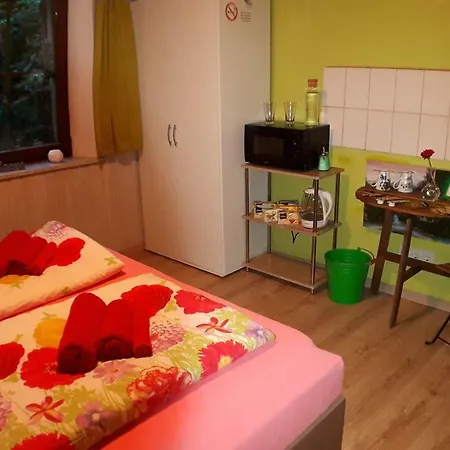 Haus Am Hang Homestay *
