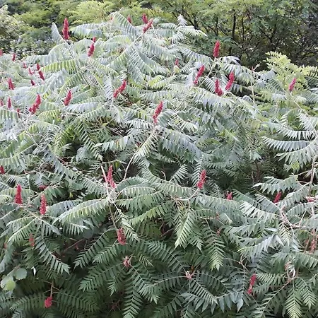 Alloggio in famiglia Haus Am Hang Schwäbisch Hall